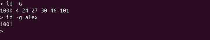 id Command in Linux6