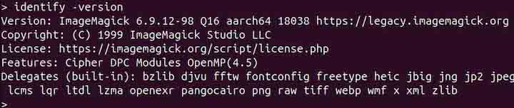 identify Command in Linux1