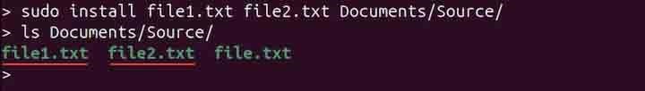 install Command in Linux3