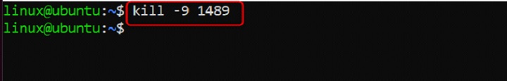 kill Command in Linux2
