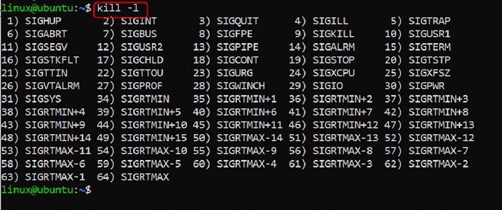kill Command in Linux3