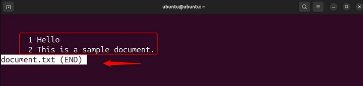 less Command in Linux10
