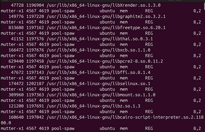lsof Command in Linux1