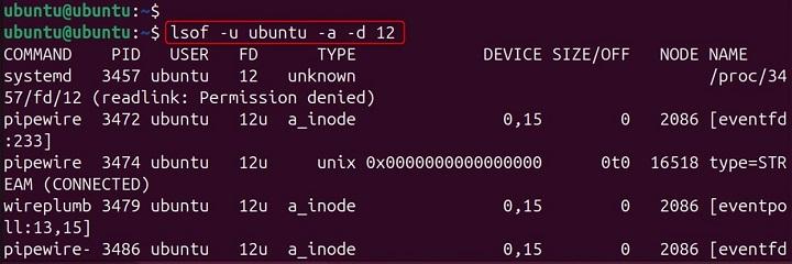 lsof Command in Linux11