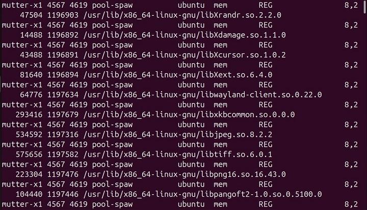 lsof Command in Linux17