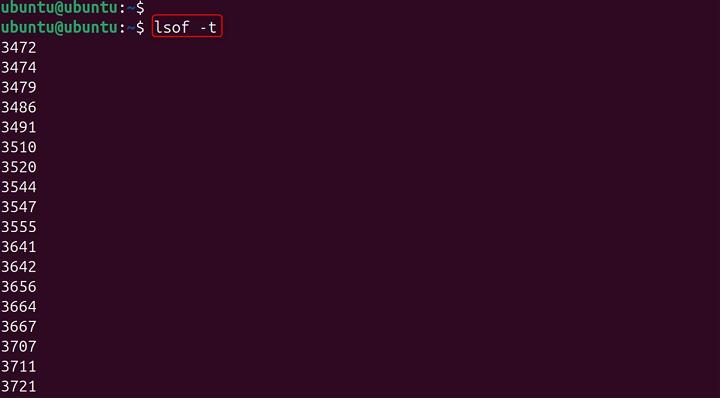 lsof Command in Linux19