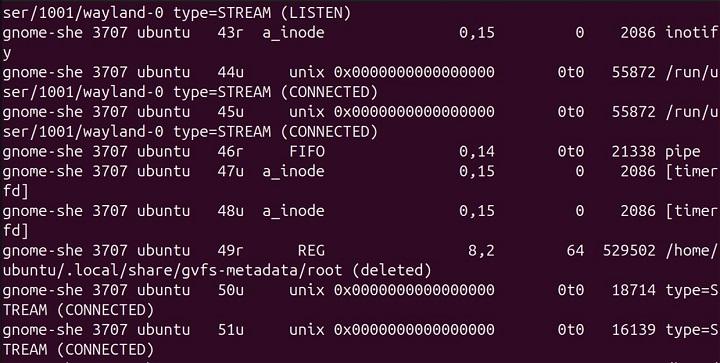 lsof Command in Linux24