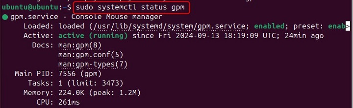 Managing gpm Service in Linux3