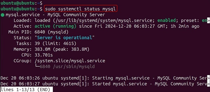 mysqld Command in Linux4