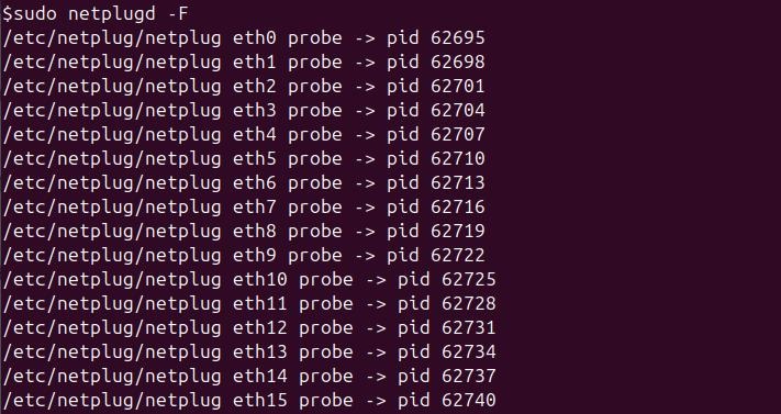 netplugd Command in Linux1