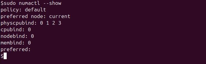 numactl Command in Linux1
