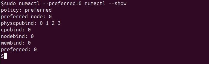 numactl Command in Linux6