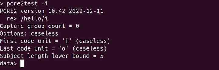 pcretest Command in Linux11