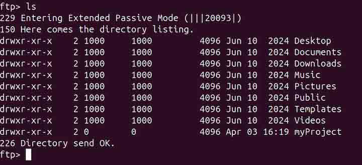 pftp Command in Linux2