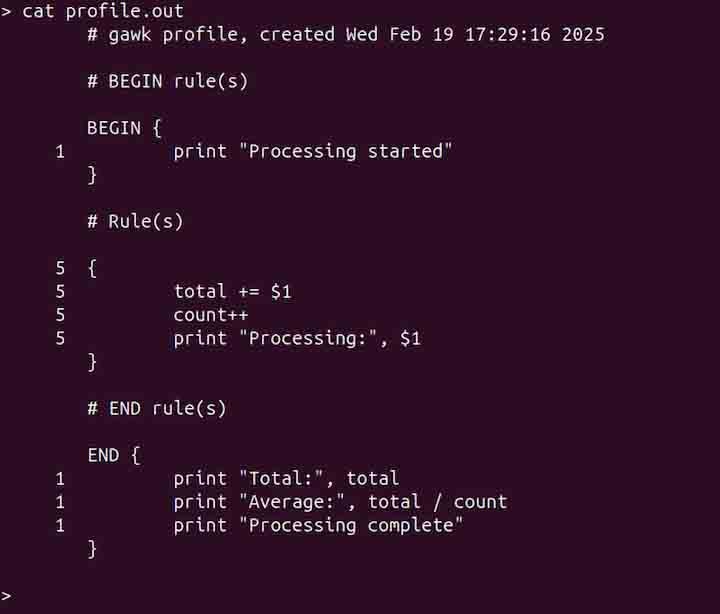 pgawk Command in Linux4