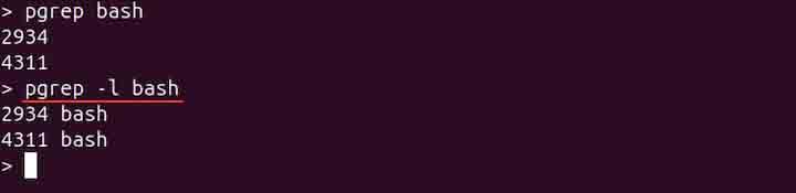 pgrep Command in Linux2