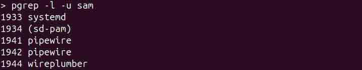 pgrep Command in Linux4