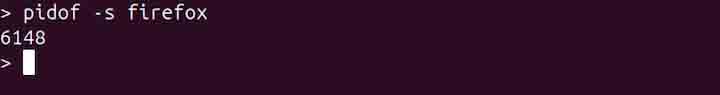 pidof Command in Linux4