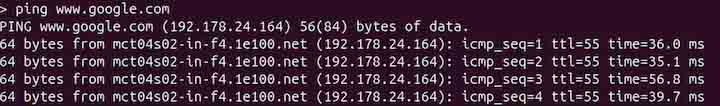 ping Command in Linux2