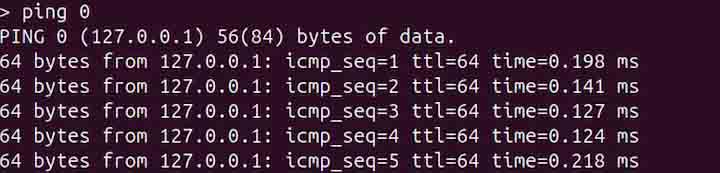 ping Command in Linux3