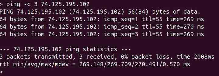 ping Command in Linux4