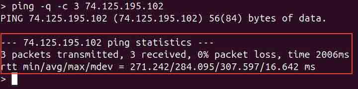 ping Command in Linux6