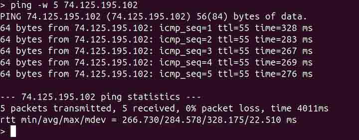 ping Command in Linux9