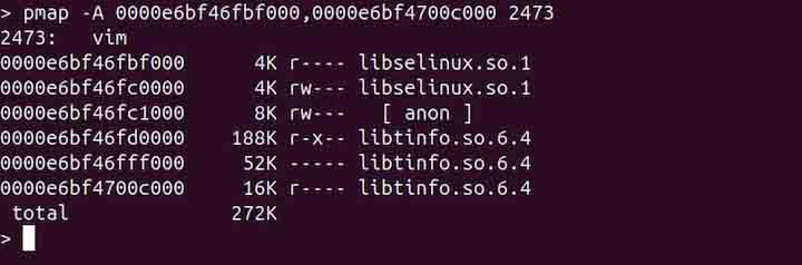 pmap Command in Linux5