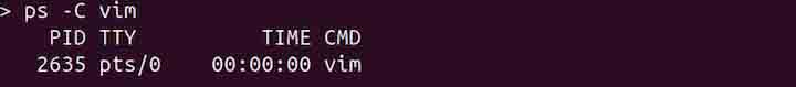 ps Command in Linux8
