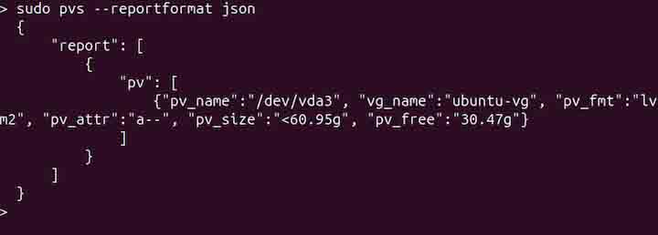 pvs Command in Linux6