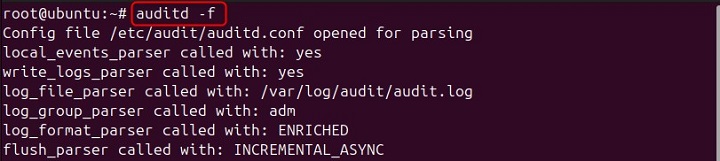Run audit Daemon in the Foreground