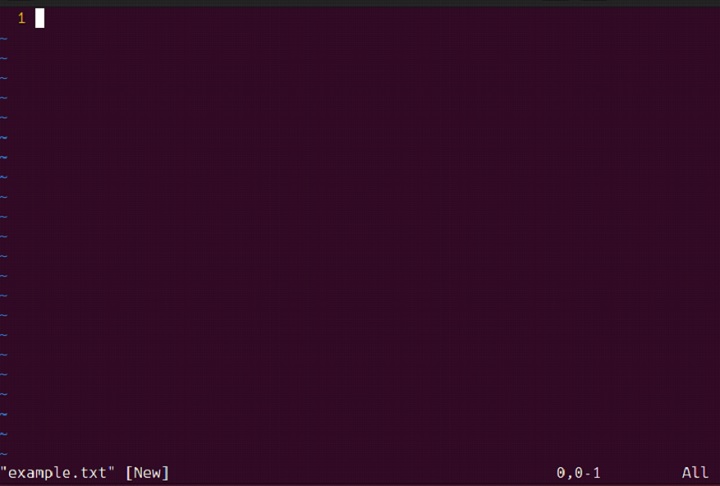 rvim Command in Linux4