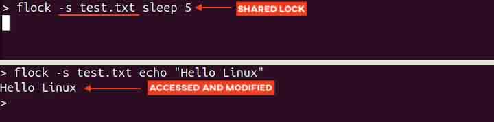 Share Lock Option in flock Command