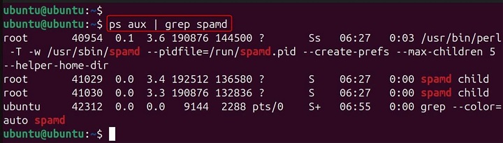 spamd Command in Linux19