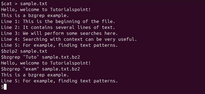 Specific Pattern Within bzip2-compressed