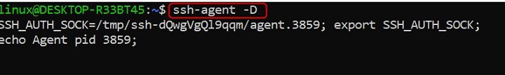 ssh-agent Command in Linux2