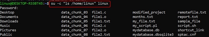 su Command in Linux3