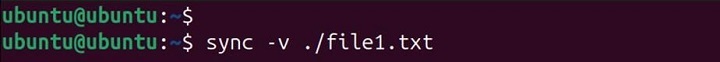 sync Command in Linux10