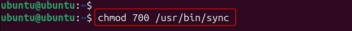 sync Command in Linux11