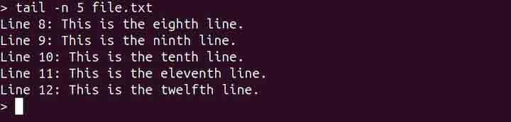 tail Command in Linux2
