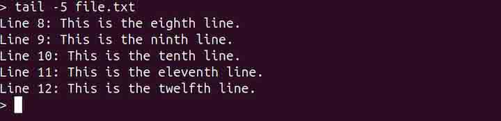 tail Command in Linux3