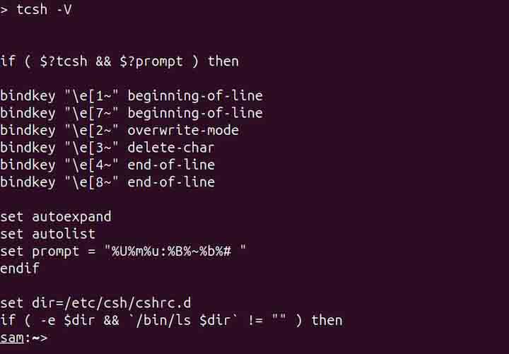 tcsh Command in Linux7