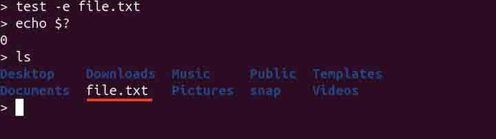 test Command in Linux1
