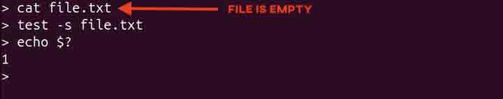 test Command in Linux3