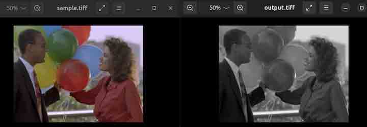 tiff2bw Command in Linux3