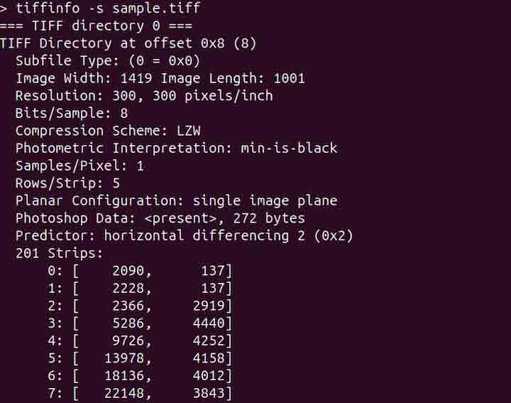 tiffinfo Command in Linux3