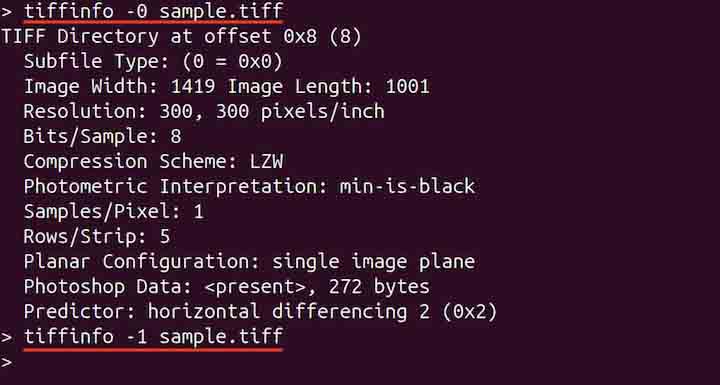 tiffinfo Command in Linux6