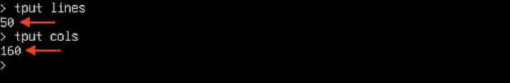 tput Command in Linux6