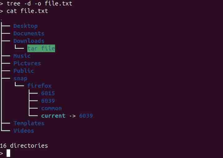 tree Command in Linux10