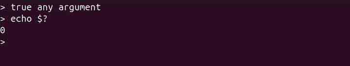 true Command in Linux1